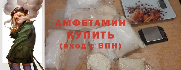 индика Вязники