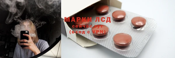 индика Вязники