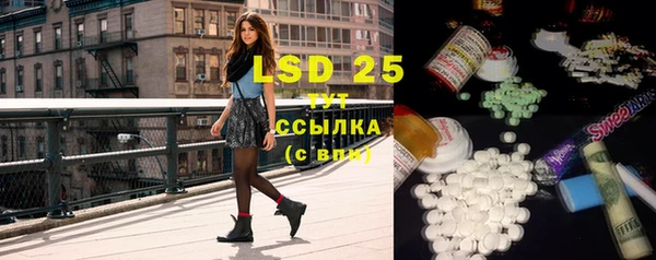 индика Вязники